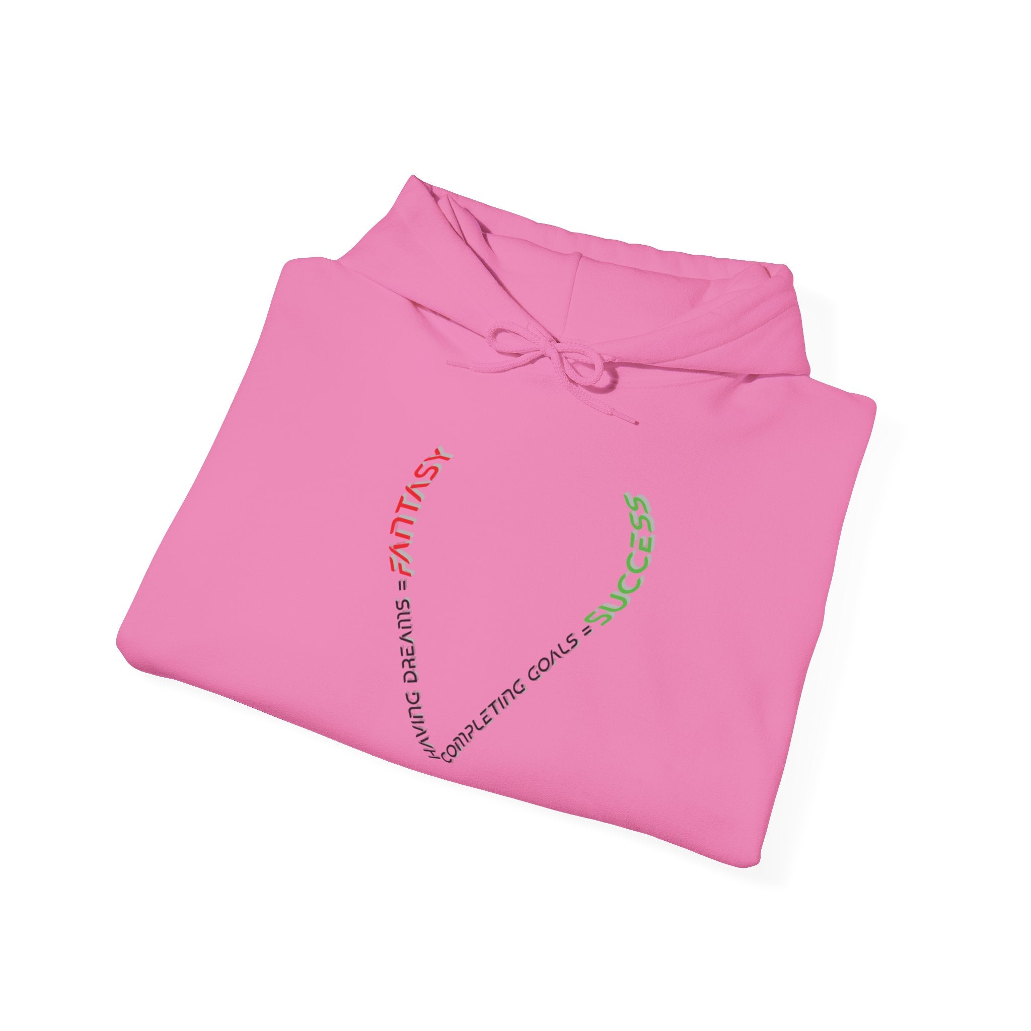 Fantasy Success Hoodie