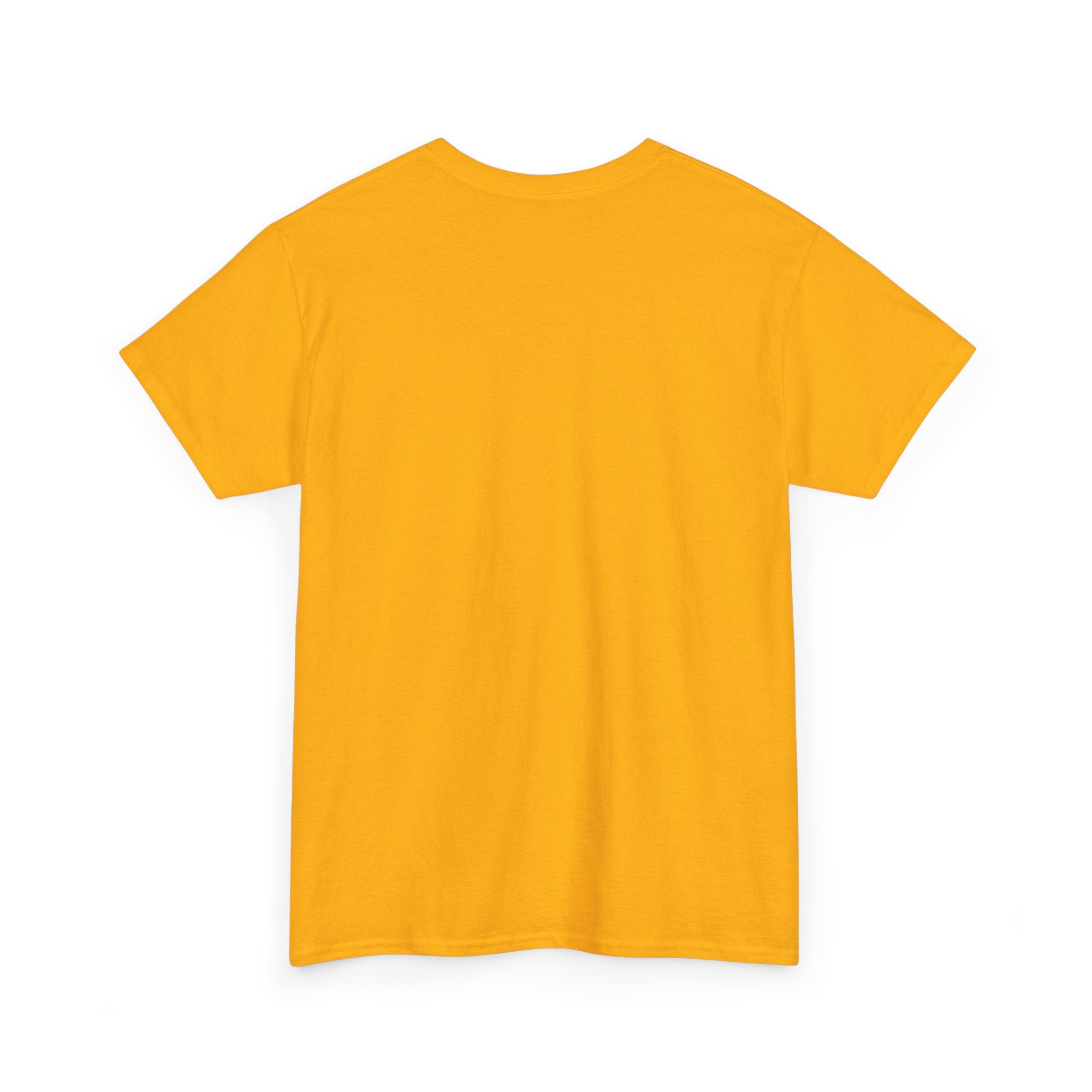 Aquarius T-Shirt - Ver.1